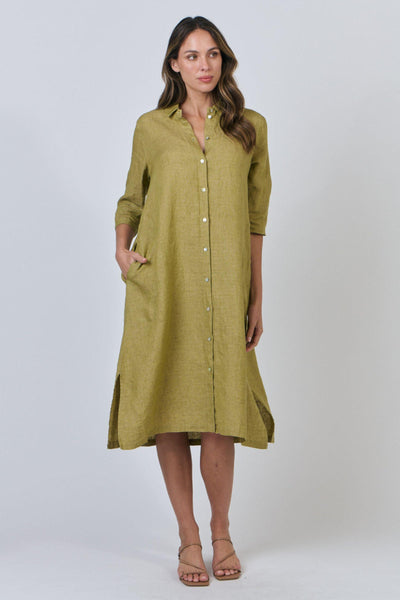 BUTTON DOWN MIDI - GA442