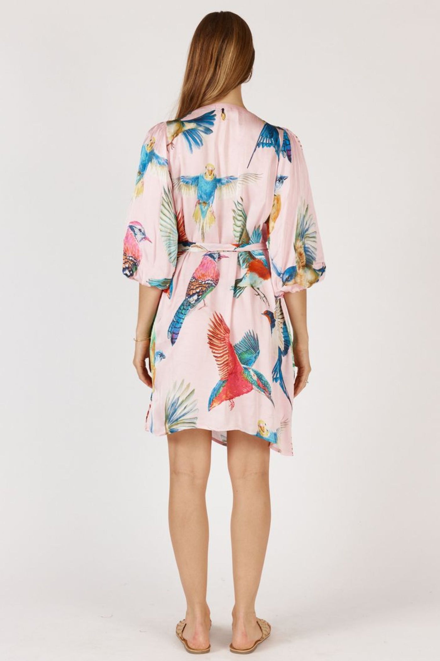 WARBLER DRESS
