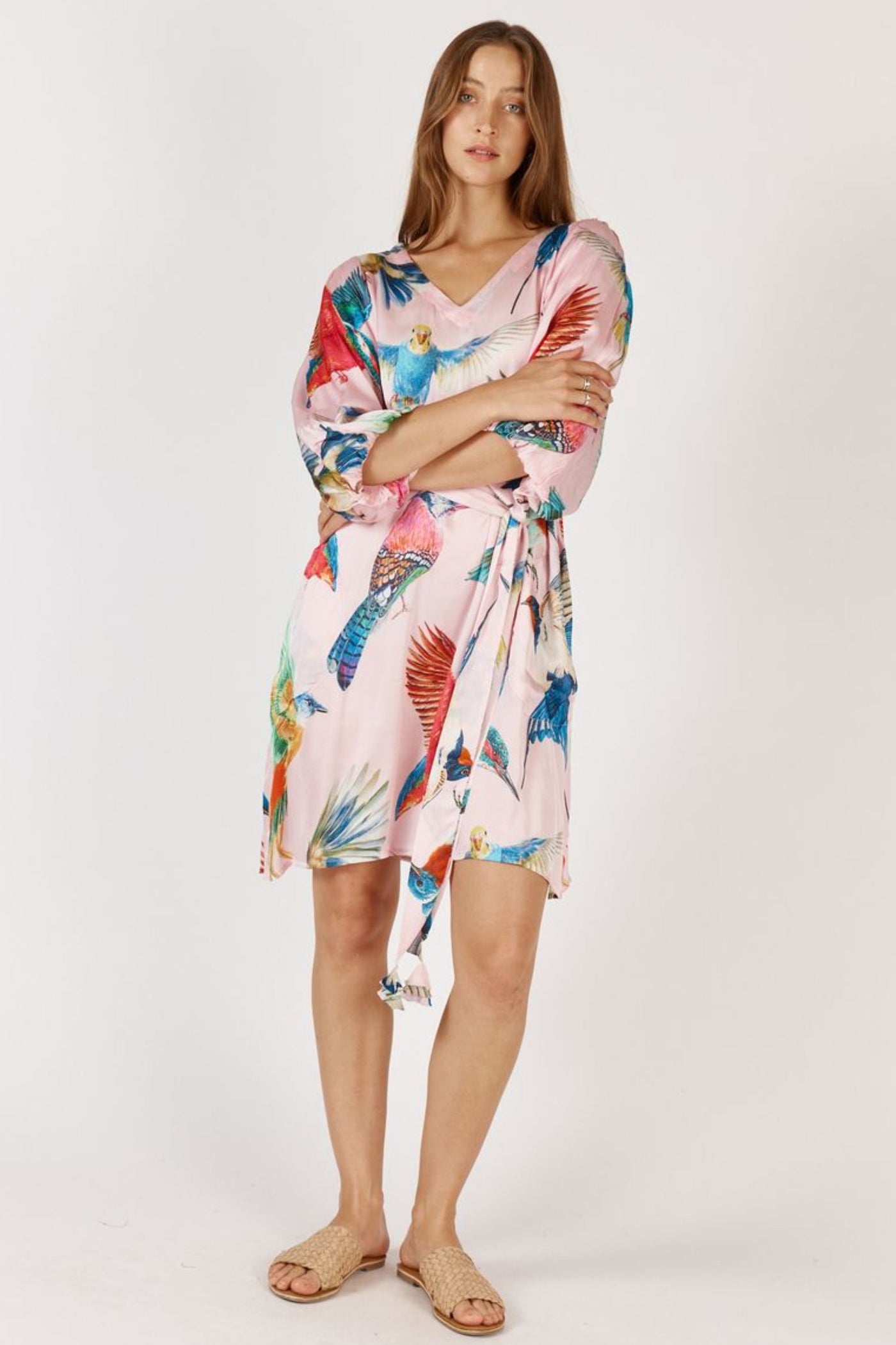 WARBLER DRESS