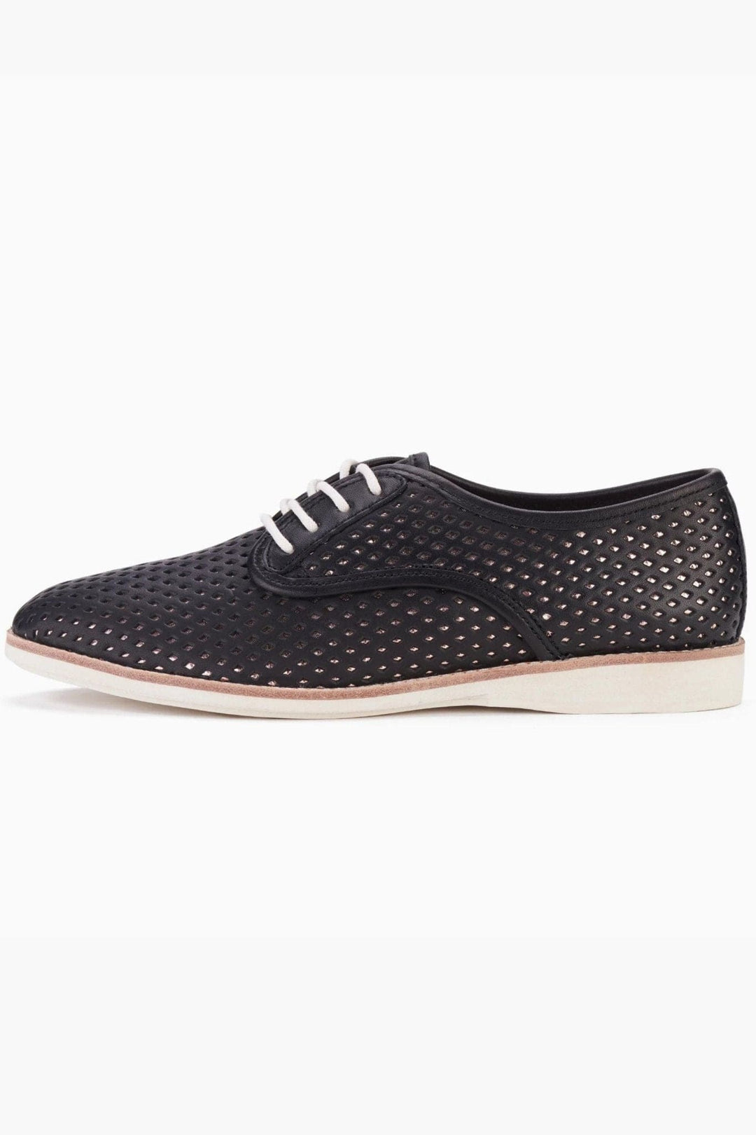 ROLLIES SHOES DERBY PUNCH OVERLAY - SC00370