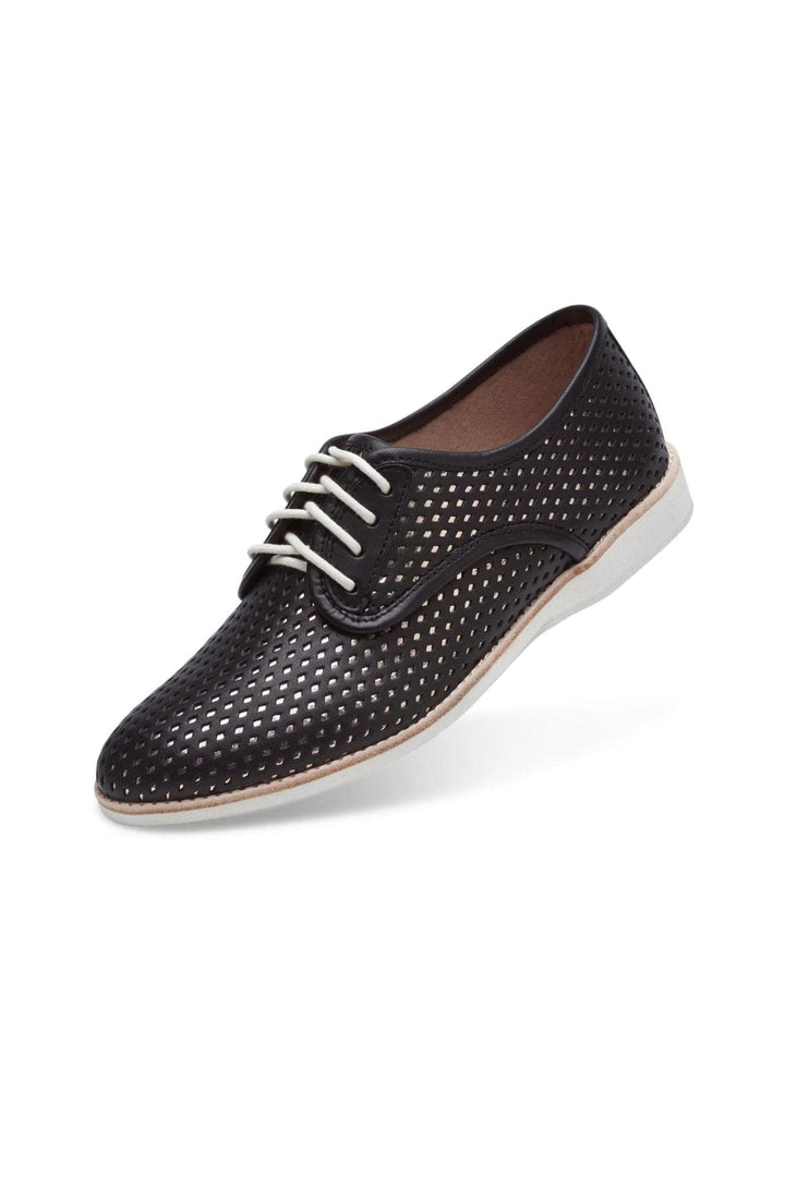 ROLLIES SHOES DERBY PUNCH OVERLAY - SC00370