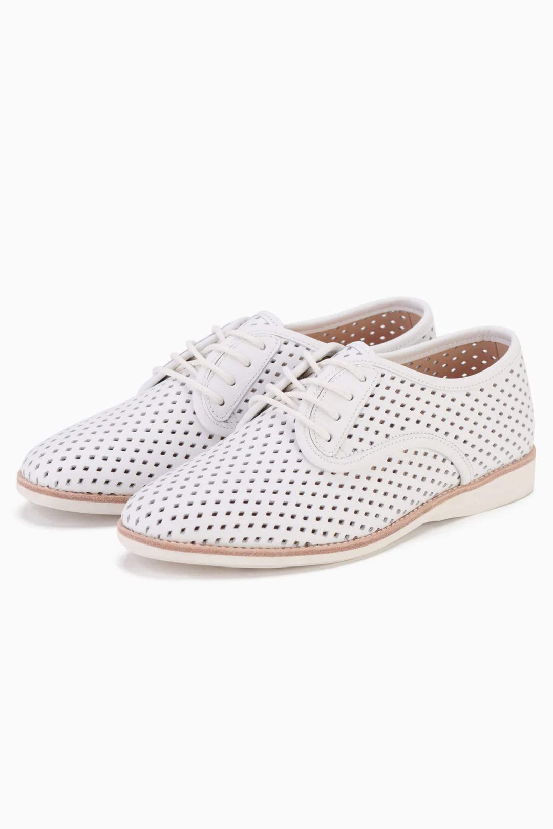 ROLLIES SHOES DERBY PUNCH - SC00199