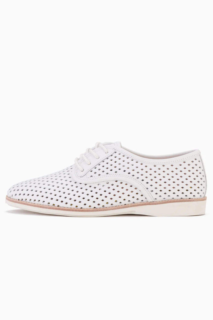 ROLLIES SHOES DERBY PUNCH - SC00199