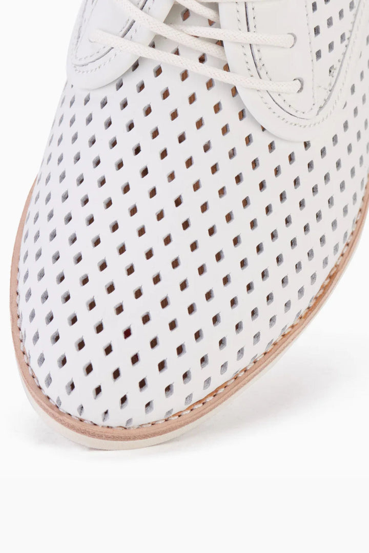 ROLLIES SHOES DERBY PUNCH - SC00199