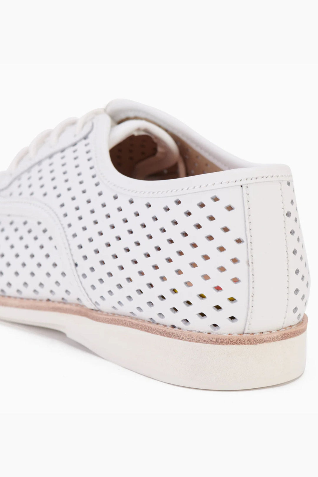 ROLLIES SHOES DERBY PUNCH - SC00199