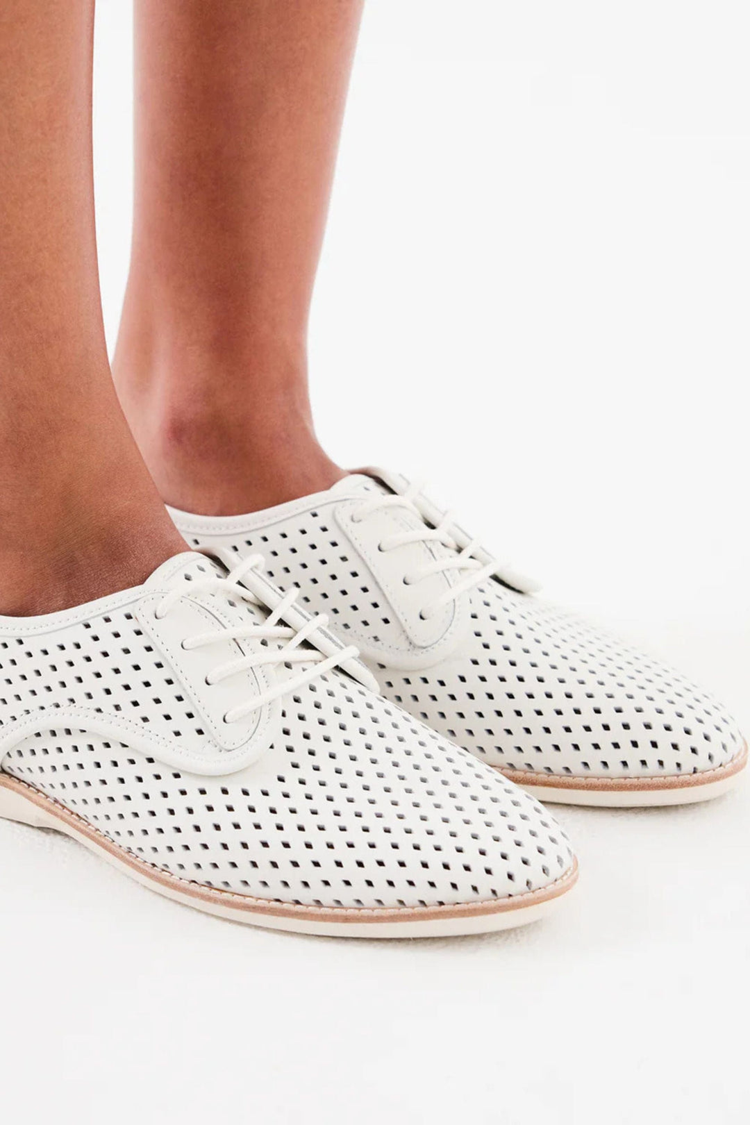 ROLLIES SHOES DERBY PUNCH - SC00199