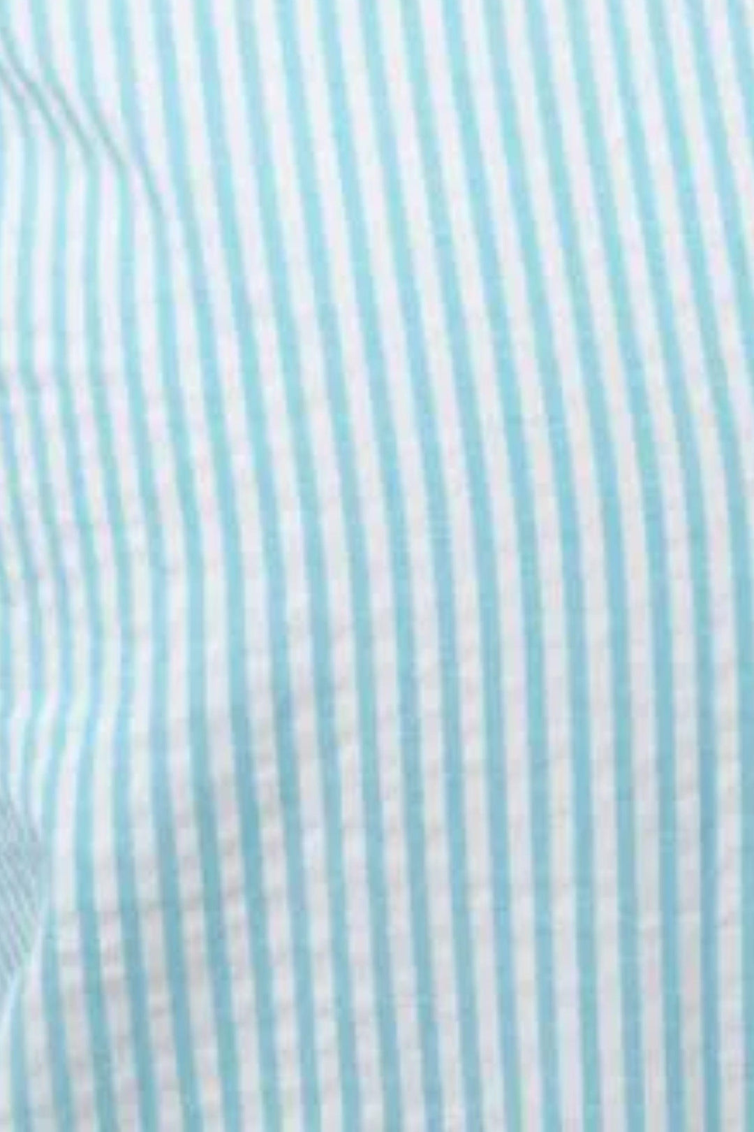 TINTA SHIRT VINYES SS SHIRT